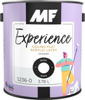 MF Paints Experience